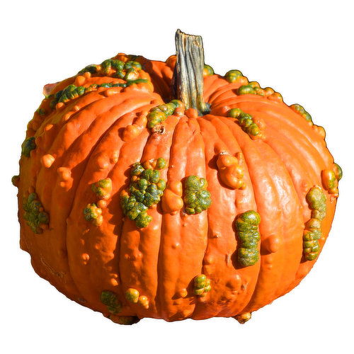 Warty Goblin Pumpkin