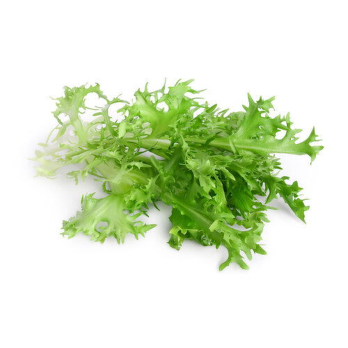Baby Frisee Endives