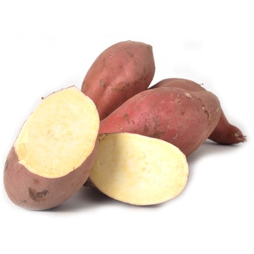 Yama Sweet Potato