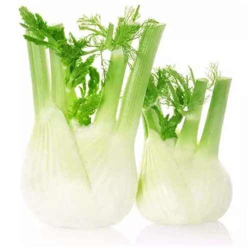 Fennel