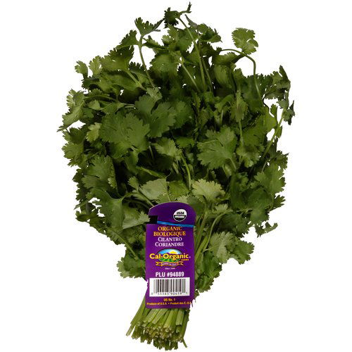 Cal-Organic Farms Organic Cilantro, Bunch