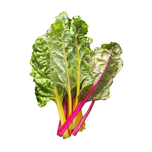 Swiss Chard, Local Rainbow
