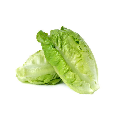 Lettuce, Local Green Baby Romaine