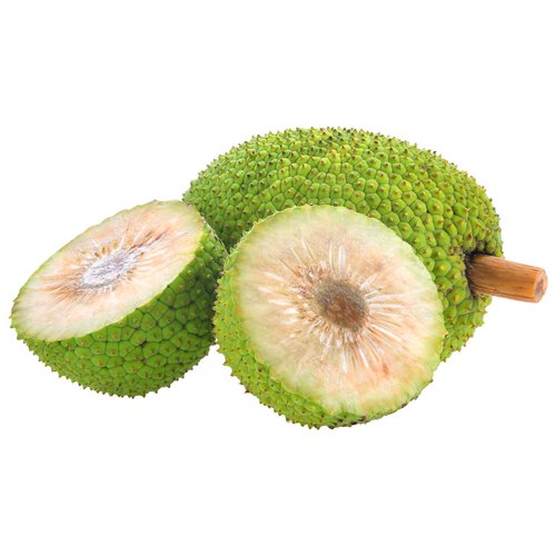 Breadfruit