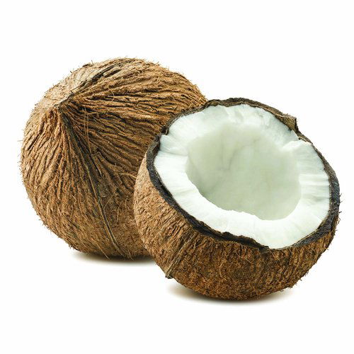 Coconut