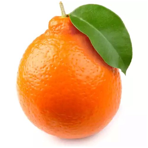 Minneola Tangelos