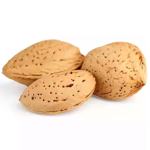 Winternellis Pear