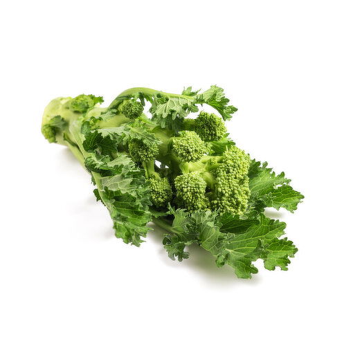 Rapini
