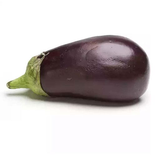 Baby Purple Eggplant