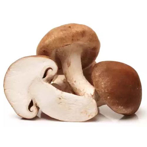 Mushroom, Shiitake