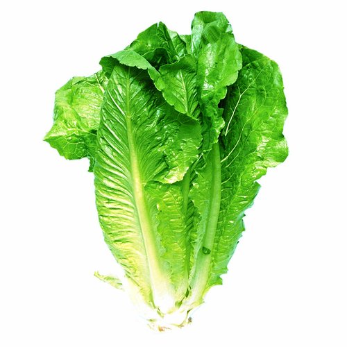 Local Romaine Lettuce