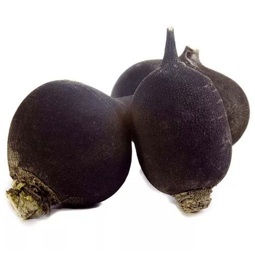 Black Radish