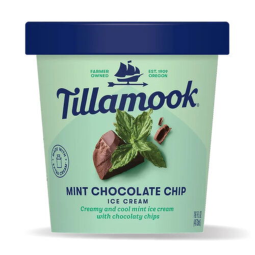 Tillamook Mint Chocolate Chip