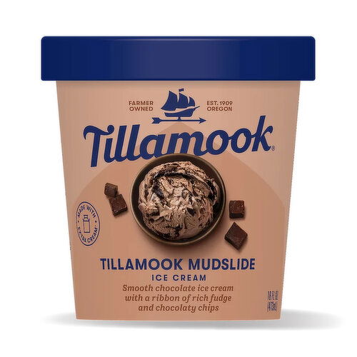 Tillamook Mudslide