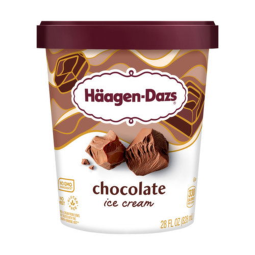 Haagen-Dazs Ice Cream, Chocolate