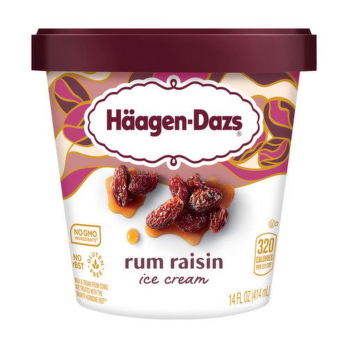 Haagen-Dazs Ice Cream, Rum Raisin