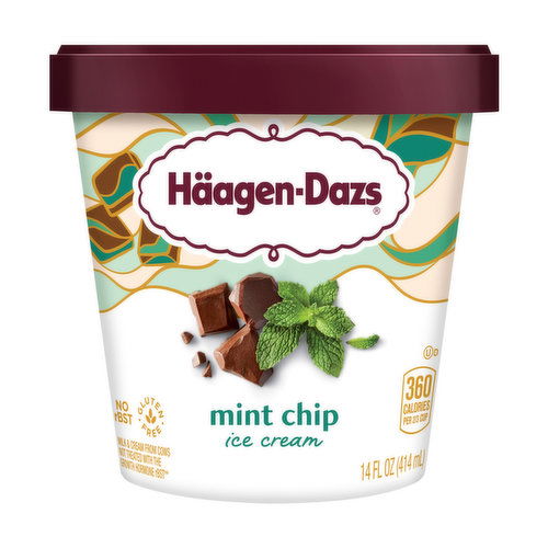 Haagen-Dazs Ice Cream, Mint Chip