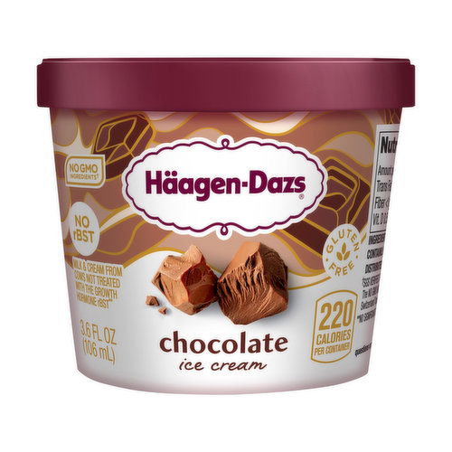 Haagen-Dazs Ice Cream, Chocolate