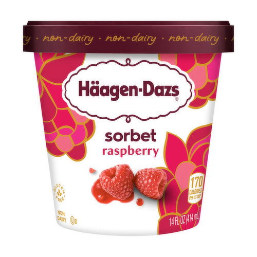 Haagen-Dazs Raspberry Sorbet