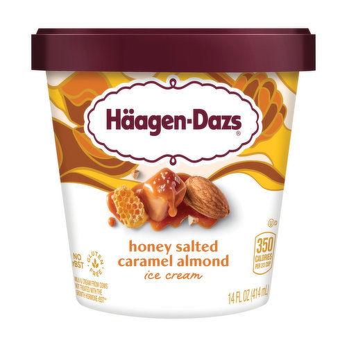 Haagen-Dazs Ice Cream, Honey Salted Caramel Almond