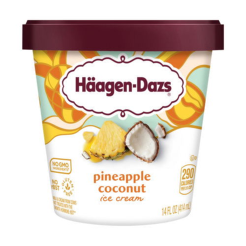 Haagen-Dazs Ice Cream, Pineapple Coconut