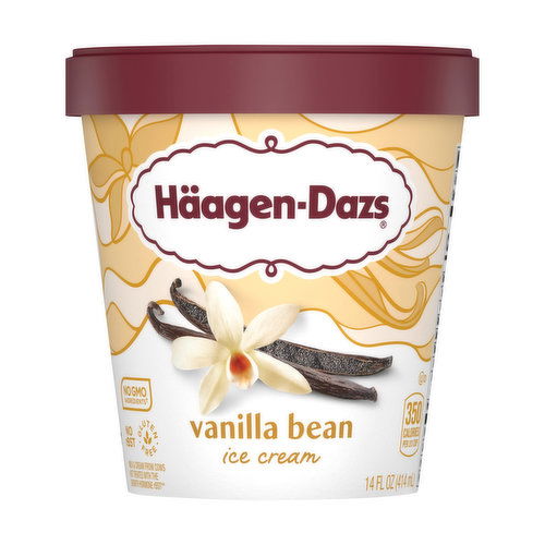 Haagen-Dazs Ice Cream, Vanilla Bean