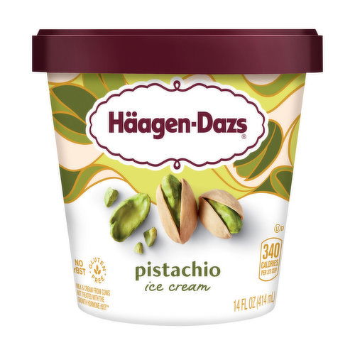 Haagen-Dazs Ice Cream, Pistachio