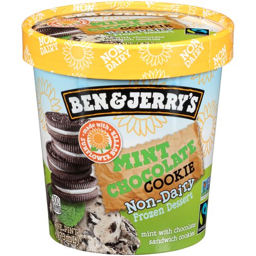 Ben & Jerry's Non-Dairy Mint Chocolate Cookie