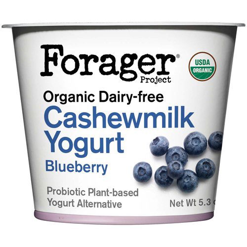 Forager Project Organic Blueberry Probiotic Cashewmilk Dairy Free Yogurt