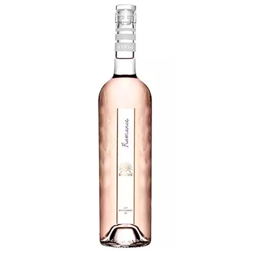 CH Berne Romance Rose