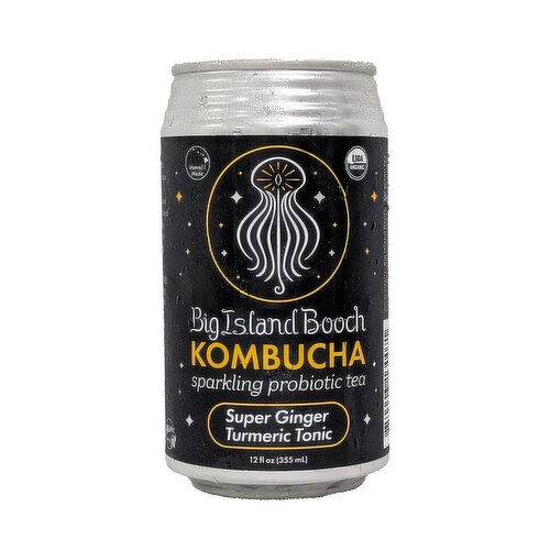 Big Island Booch Super Ginger Turmeric Can