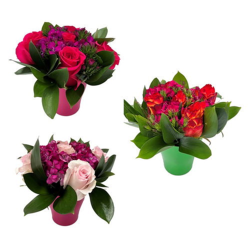 Mini Dream Rose Arrangement