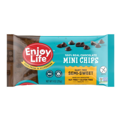 Enjoy Life Dairy Free Semi Sweet Mini Chips