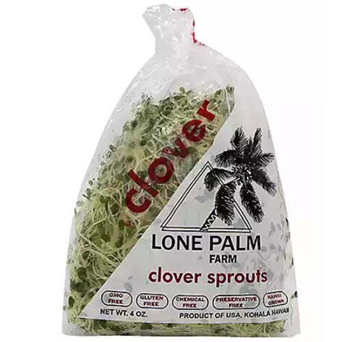 Lone Palm Local Clover Sprouts