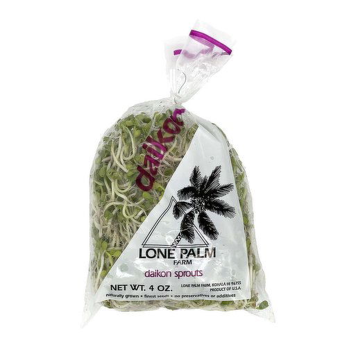 Lone Palm Daikon Sprouts, Local
