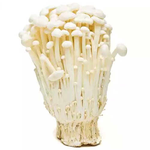 Mushroom, Enoki