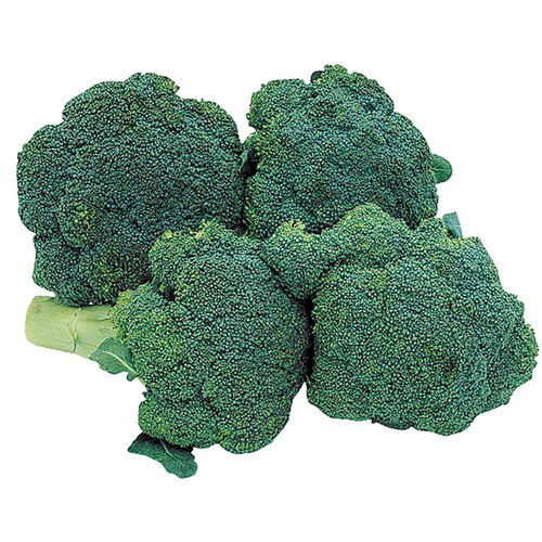 Organic Broccoli