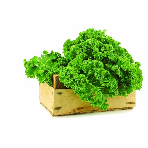 Kale, Local Organic Hydroponically Grown