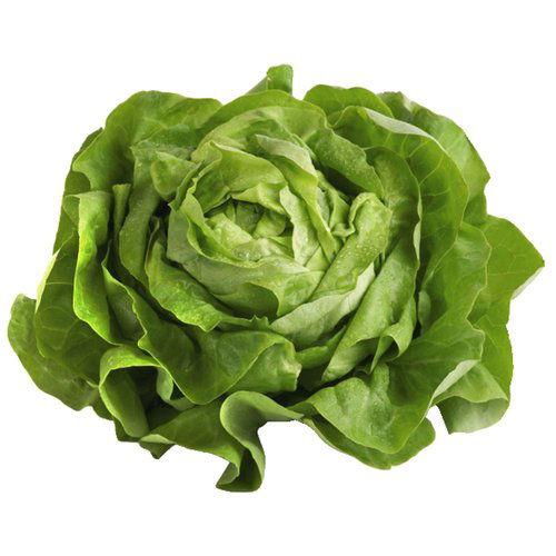 Organic Green Butter Lettuce, Local