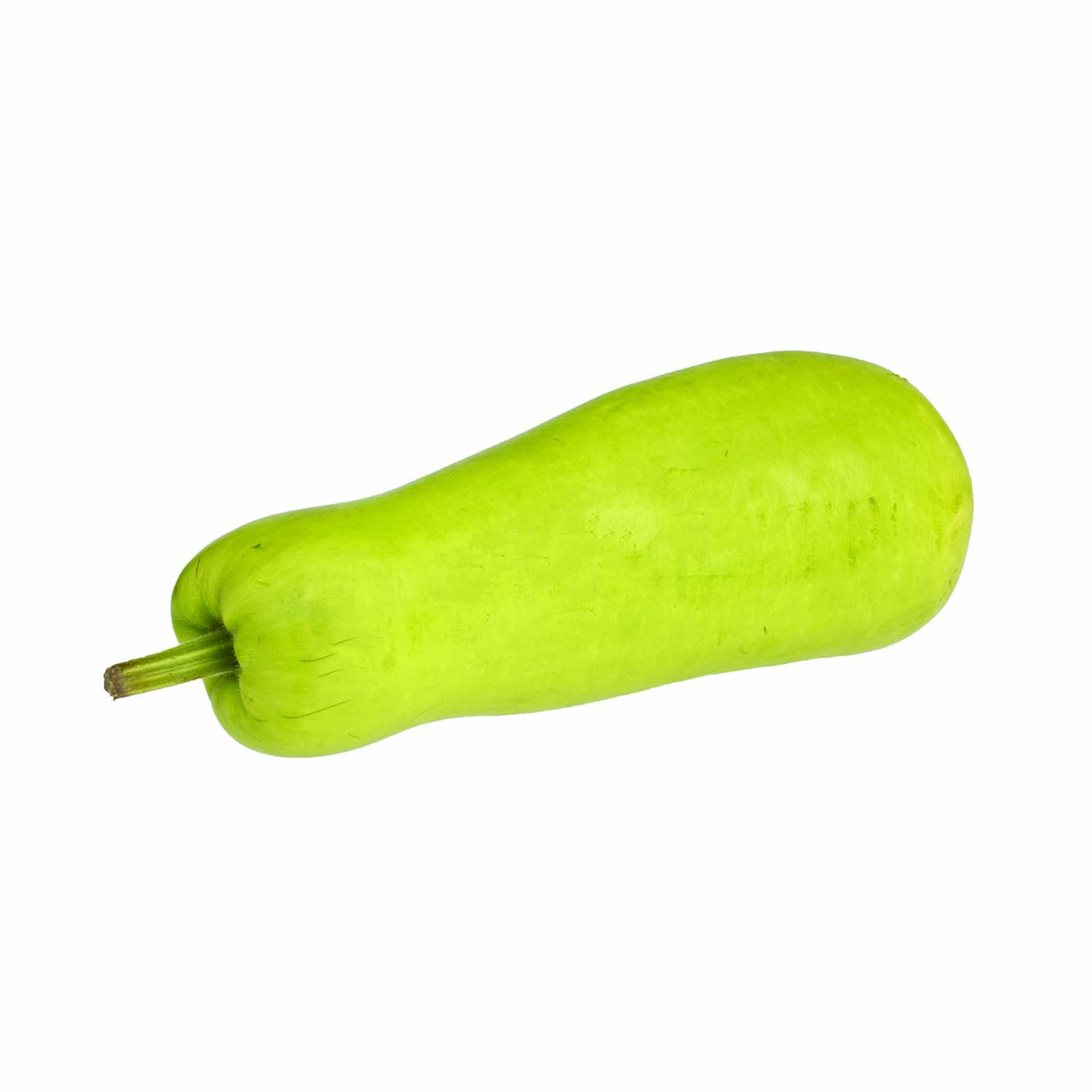 3141.jpg