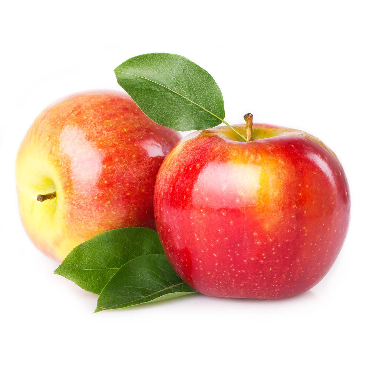 Honeycrisp Apple - Foodland
