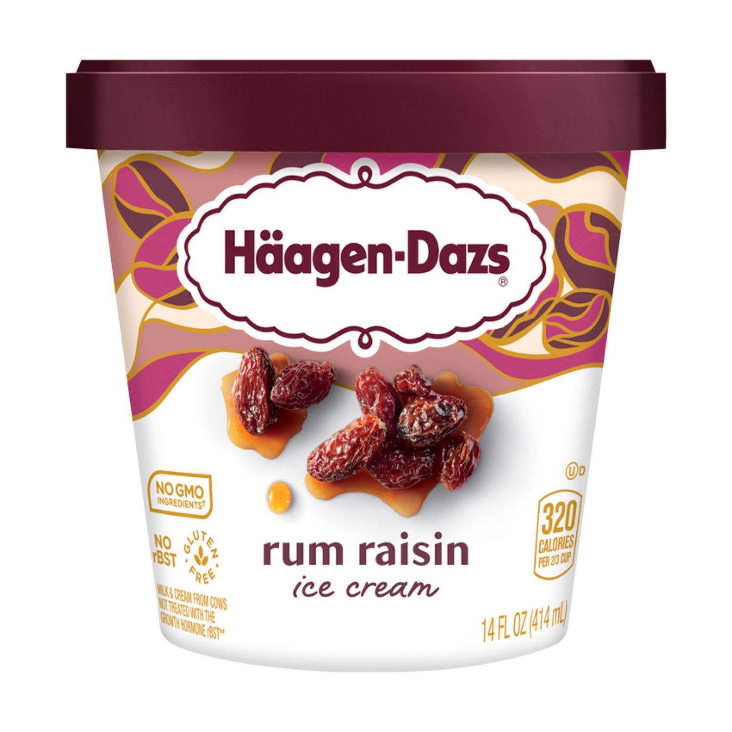 Haagen-Dazs Ice Cream, Rum Raisin - Foodland