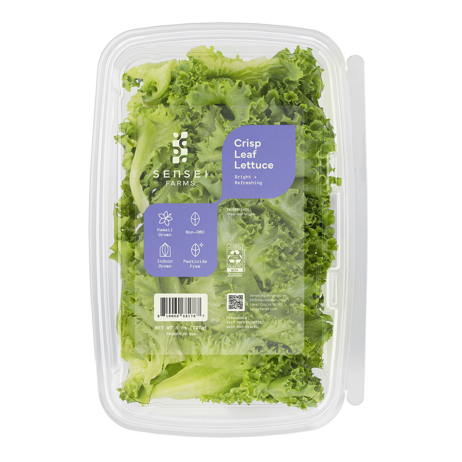 Sensei Farms Local Crisp Leaf Lettuce - Foodland