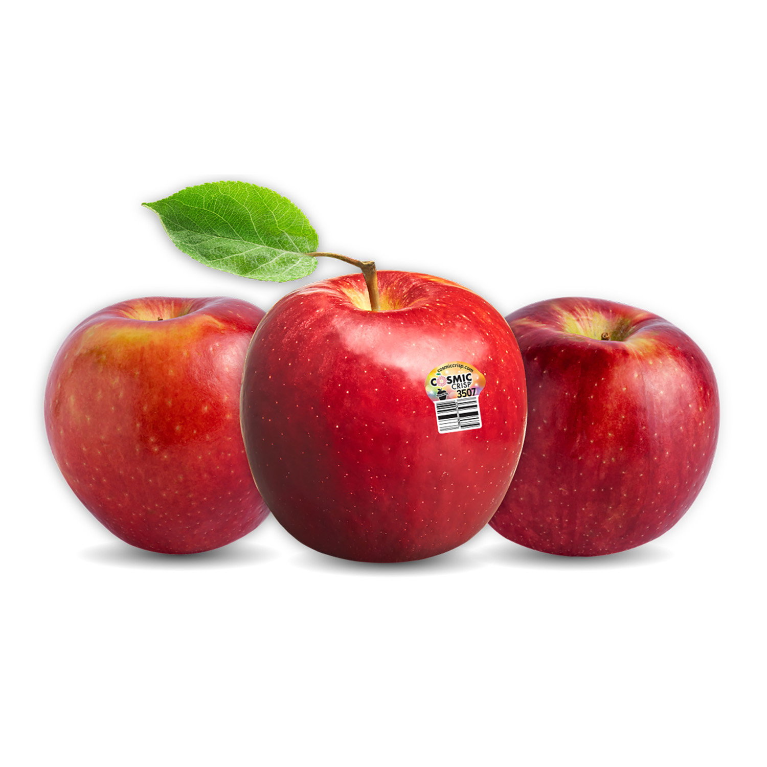 Apple, Cosmic Crisp 2lb - Foodland