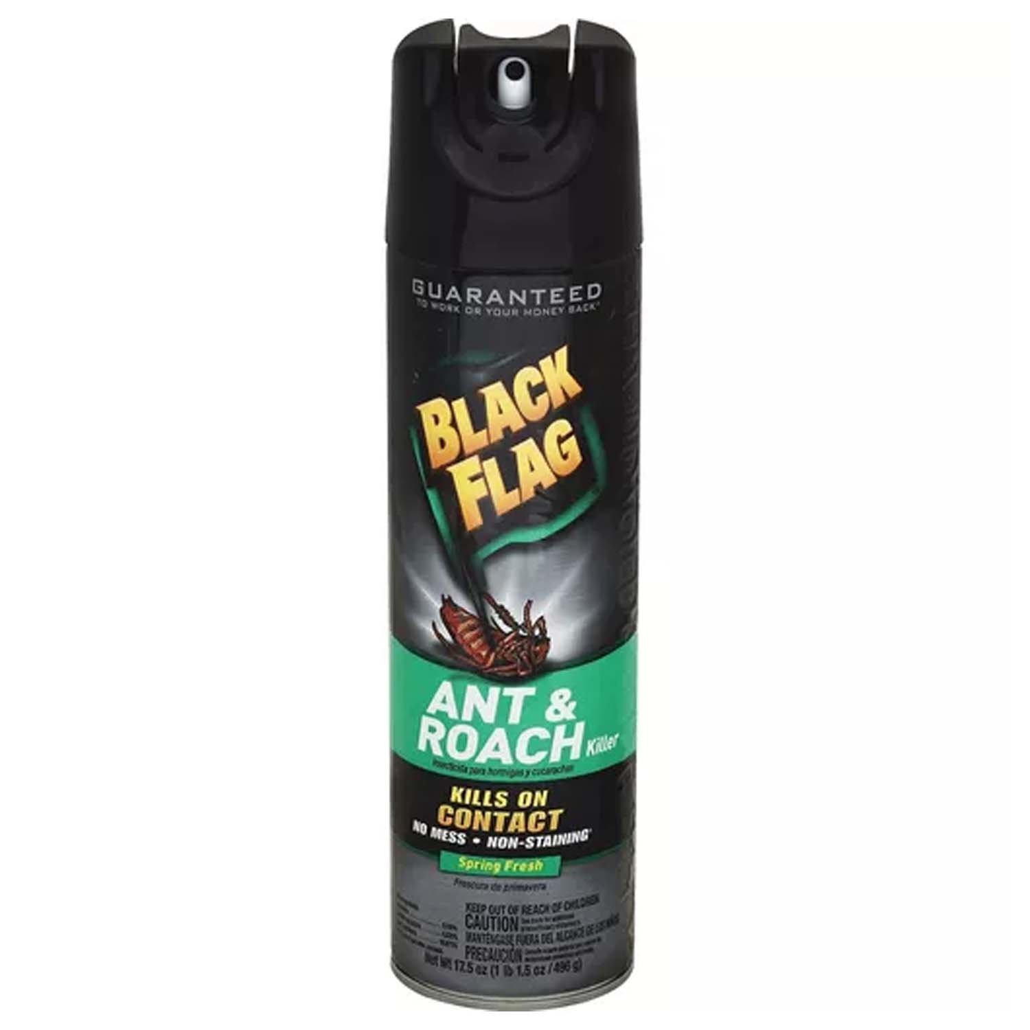 Black Flag Ant & Roach Killer, Spring Fresh - Foodland